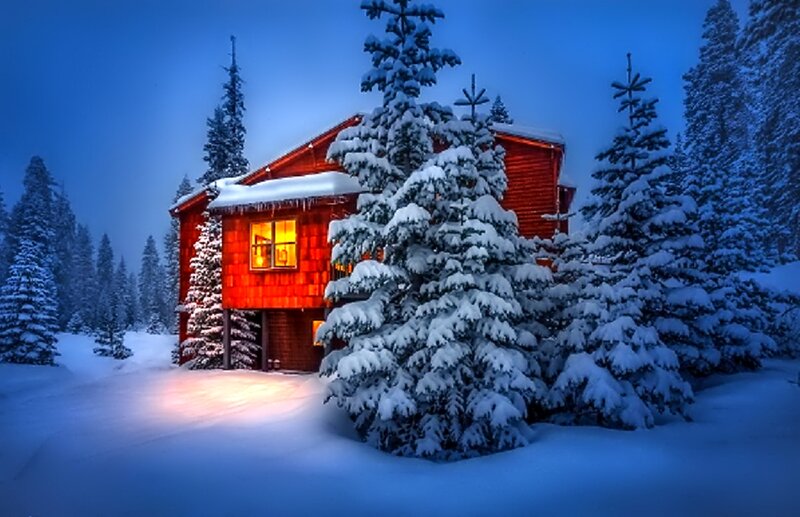 Cabin in Snowy Forest — Blue, Serene, Night, Photograph, Snow, Trees, Window