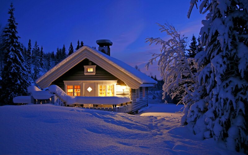 Cabin in Snowy Forest — Blue, Serene, Night, Photograph, Snow, Trees, Windows