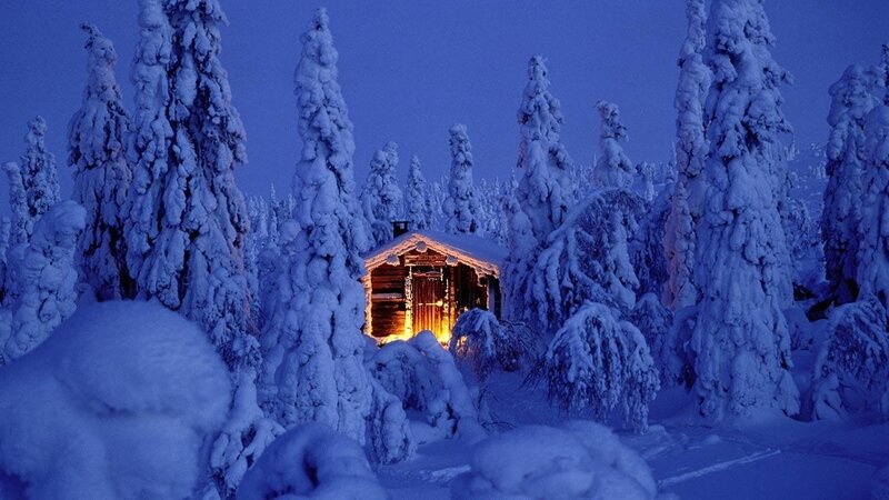 Cabin in Snowy Forest — Blue, Serene, Night, Photograph, Trees, Snow, Light