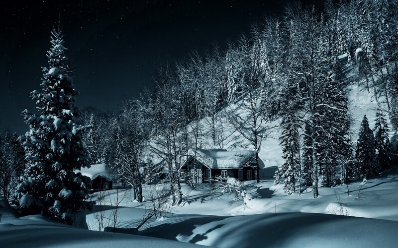 Cabin in Snowy Forest — Blue, Serene, Night, Photograph, Trees, Snow, Night Sky