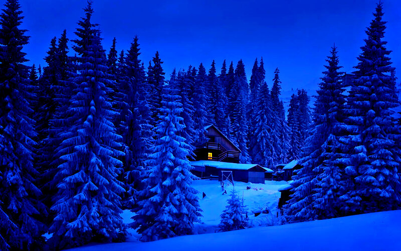 Cabin in Snowy Forest — Blue, Serene, Night, Photograph, Trees, Snow