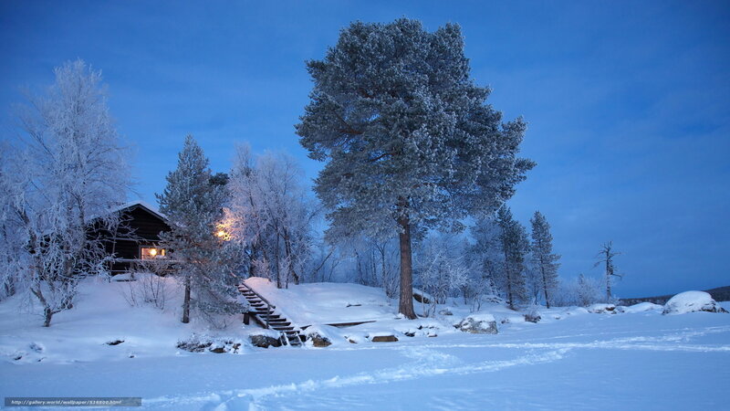 Cabin in Snowy Forest — Blue, Serene, Night, Photograph, Trees, Stairs