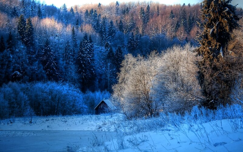 Cabin in Snowy Forest — Blue, Serene, Winter, Photograph, Snow