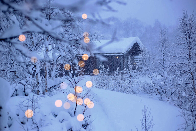 Cabin in Snowy Forest — Blue, Serene, Winter, Photograph, Snow, Trees, Lights