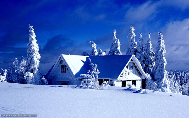 Cabin in Snowy Forest — Blue, Serene, Winter, Photograph, Snow, Trees, Sky