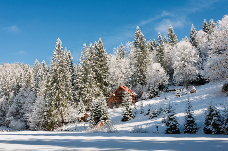 Cabin in Snowy Forest — Blue, Serene, Winter, Photograph, Trees, Snow, Sky