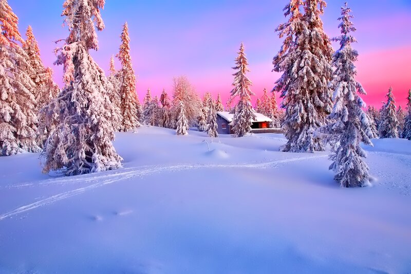 Cabin in Snowy Forest — Blue, Serene, Winter, Photograph, Trees, Snow