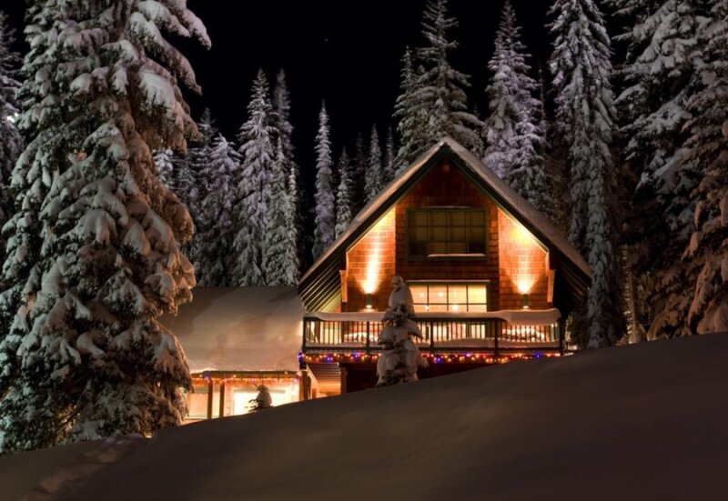 Cabin in Snowy Forest — Brown
