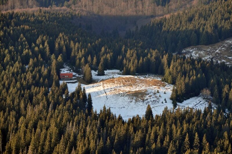 Cabin in Snowy Forest — Green
