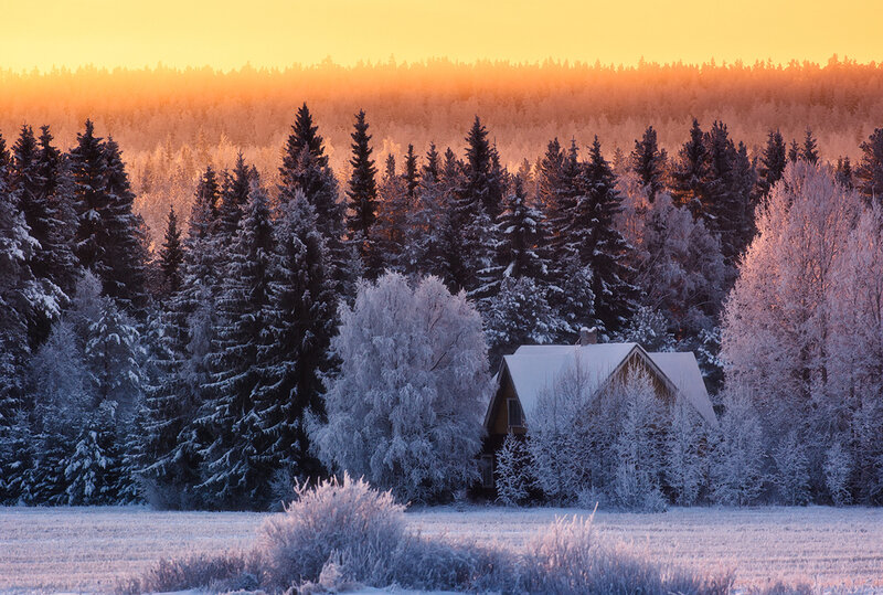 Cabin in Snowy Forest — Orange, Serene, Winter