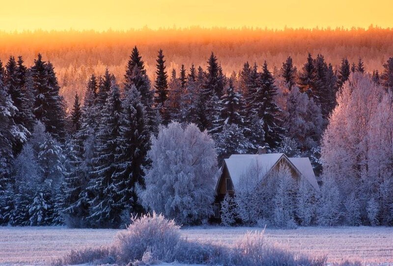 Cabin in Snowy Forest — Orange