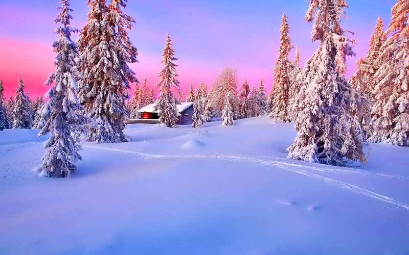 Cabin in Snowy Forest — Pink, Serene, Sunset