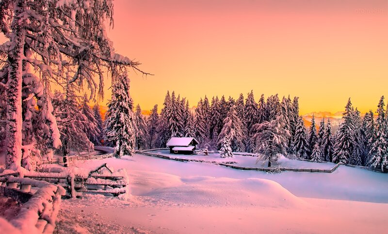 Cabin in Snowy Forest — Pink, Serene