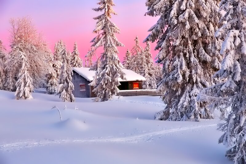 Cabin in Snowy Forest — Pink