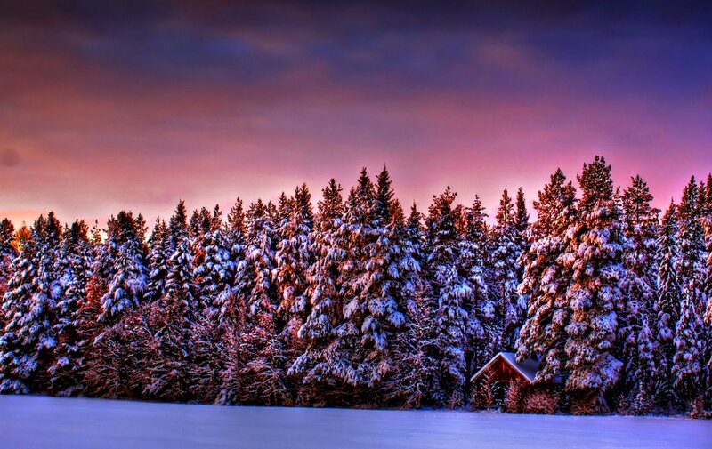 Cabin in Snowy Forest — Purple, Dramatic