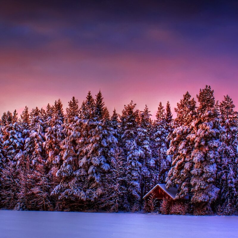 Cabin in Snowy Forest — Purple, Serene, Winter, Photograph