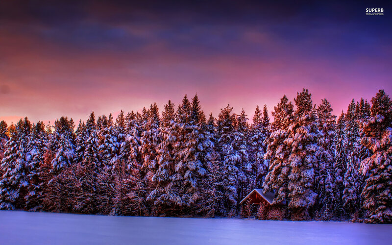 Cabin in Snowy Forest — Purple, Serene, Winter