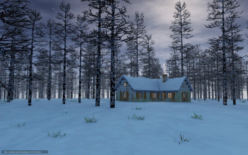 Cabin in Snowy Forest — White, Serene, Night, 3d Render, Trees