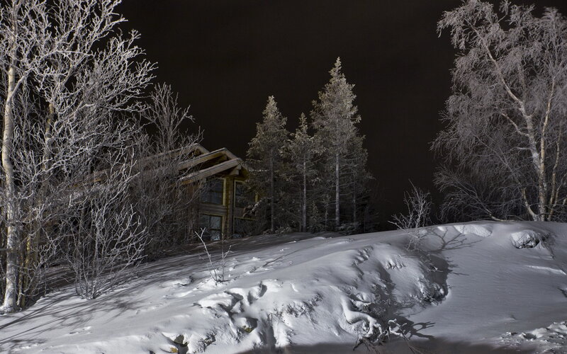Cabin in Snowy Forest — White, Serene, Night, Photograph, Snow, Trees, Night Sky
