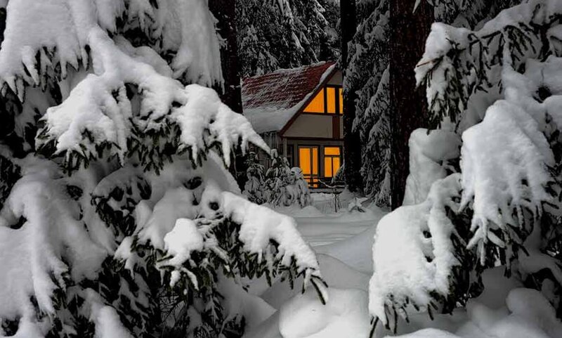 Cabin in Snowy Forest — White, Serene, Night, Photograph, Snow, Trees, Windows