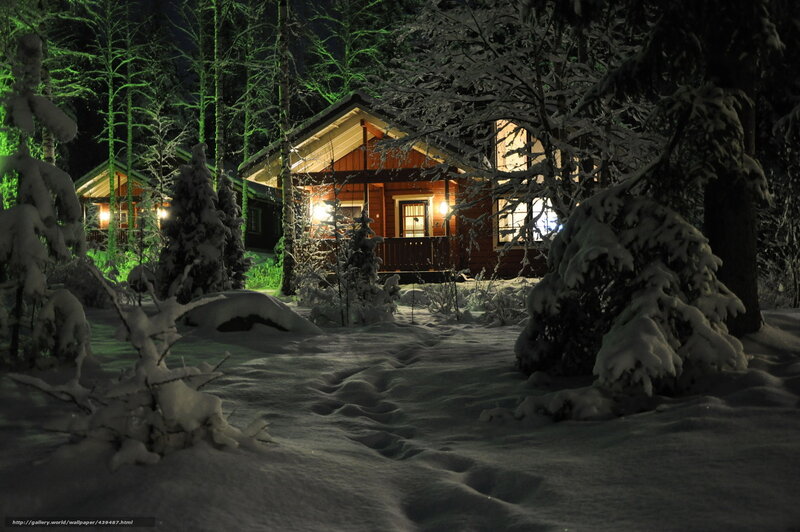 Cabin in Snowy Forest — White, Serene, Night, Photograph, Trees, Snow