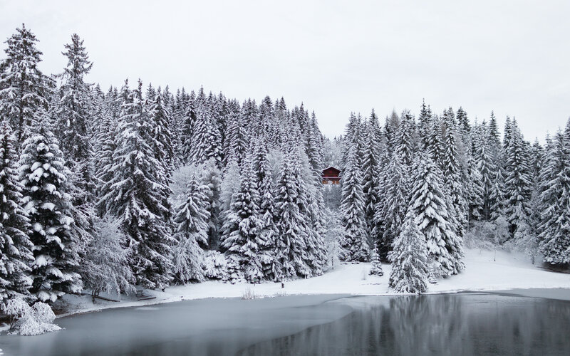 Cabin in Snowy Forest — White, Serene, Winter, Photograph, Lake