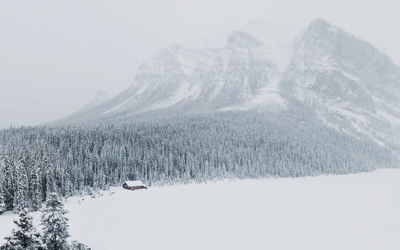 Cabin in Snowy Forest — White, Serene, Winter, Photograph, Mountain, Snow