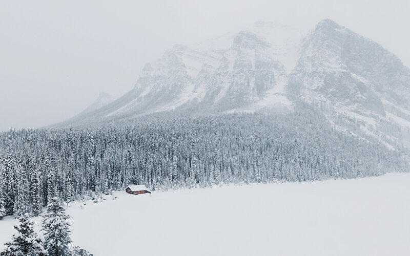 Cabin in Snowy Forest — White, Serene, Winter, Photograph, Mountains, Snow