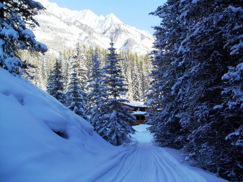 Cabin in Snowy Forest — White, Serene, Winter, Photograph, Mountains
