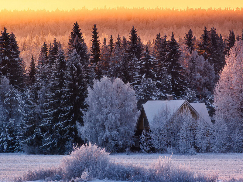 Cabin in Snowy Forest — White, Serene, Winter, Photograph, Snow