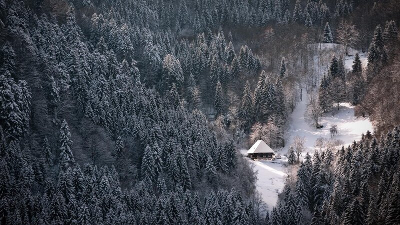 Cabin in Snowy Forest — White, Serene, Winter, Photograph, Snow, Trees, House