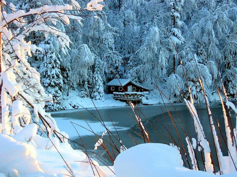 Cabin in Snowy Forest — White, Serene, Winter, Photograph, Snow, Trees, River