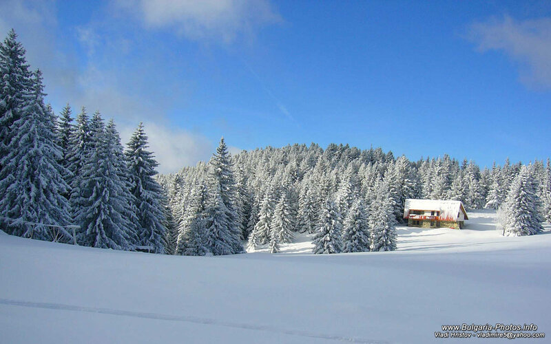 Cabin in Snowy Forest — White, Serene, Winter, Photograph, Snow, Trees, Sky
