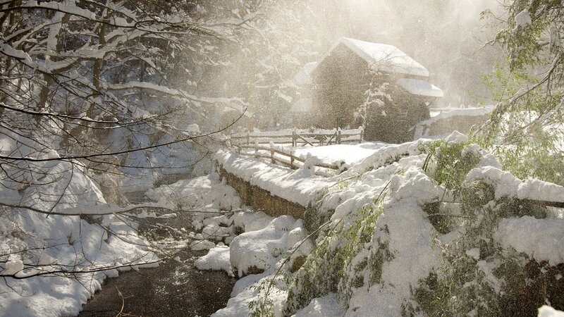 Cabin in Snowy Forest — White, Serene, Winter, Photograph, Snow, Trees, Stream, Brown