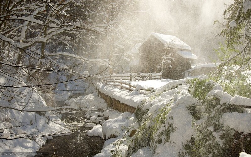 Cabin in Snowy Forest — White, Serene, Winter, Photograph, Snow, Trees, Stream