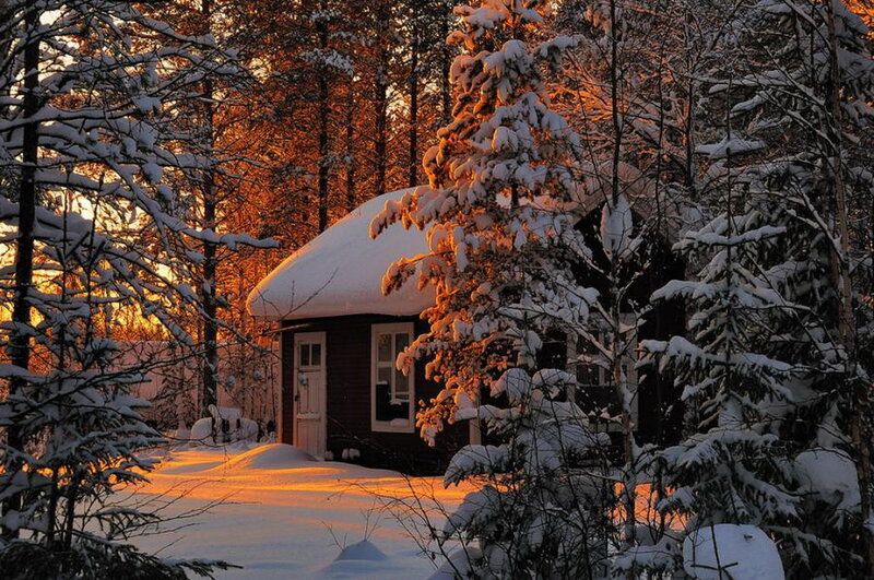 Cabin in Snowy Forest — White, Serene, Winter, Photograph, Snow, Trees