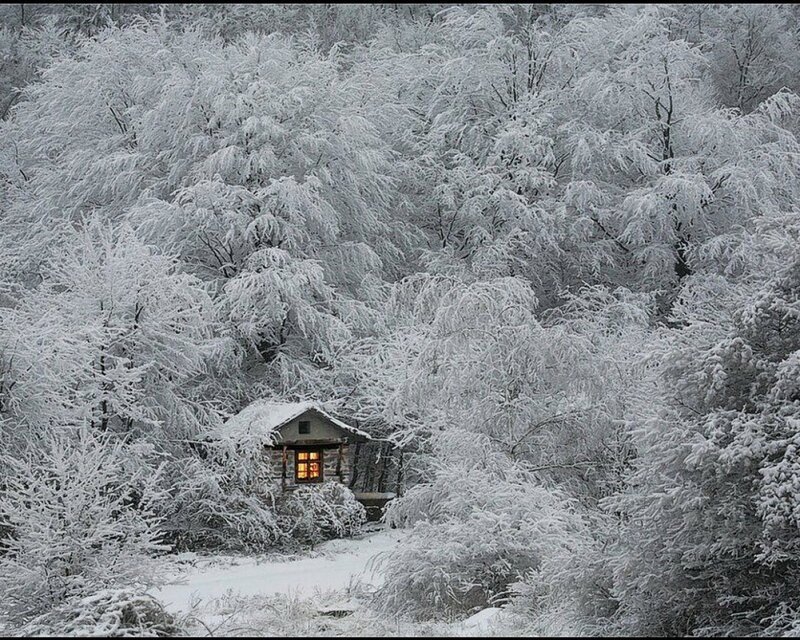 Cabin in Snowy Forest — White, Serene, Winter, Photograph, Snow, Trees, Window, Brown