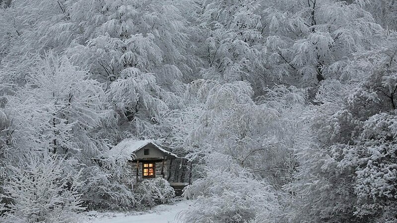 Cabin in Snowy Forest — White, Serene, Winter, Photograph, Snow, Trees, Window
