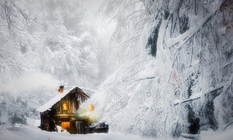 Cabin in Snowy Forest — White, Serene, Winter, Photograph, Snow, Trees, Windows