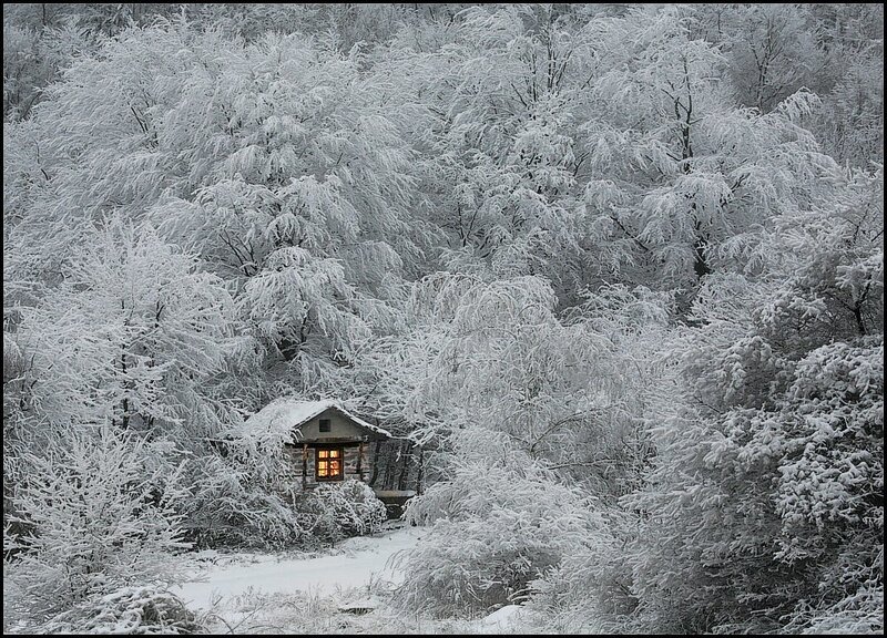Cabin in Snowy Forest — White, Serene, Winter, Photograph, Snow, Window, Gray