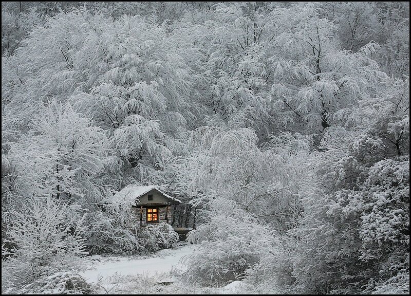 Cabin in Snowy Forest — White, Serene, Winter, Photograph, Snow, Window