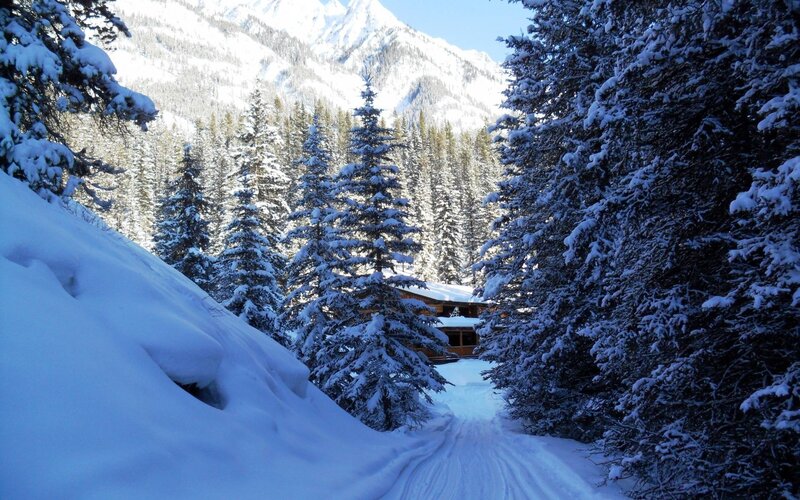 Cabin in Snowy Forest — White, Serene, Winter, Photograph, Trees, Mountains, Snow