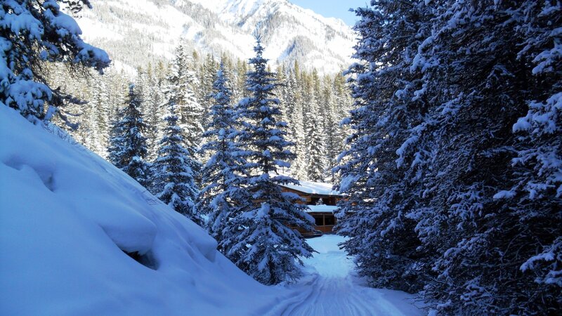Cabin in Snowy Forest — White, Serene, Winter, Photograph, Trees, Mountains
