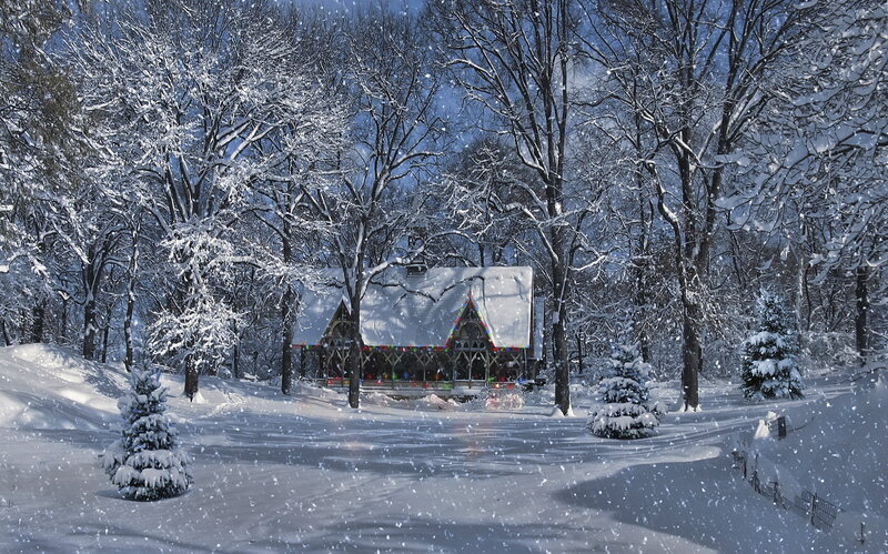 Cabin in Snowy Forest — White, Serene, Winter, Photograph, Trees, Snow, Lights