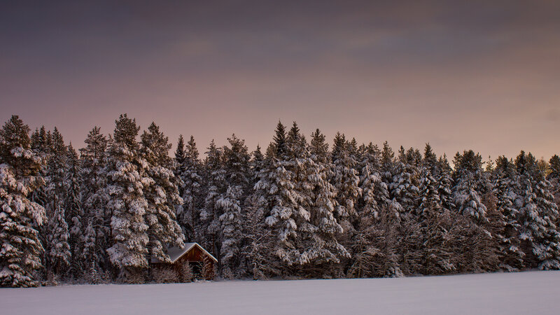 Cabin in Snowy Forest — White, Serene, Winter, Photograph, Trees, Snow