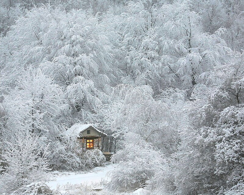 Cabin in Snowy Forest — White, Serene, Winter, Photograph, Trees, Snow, Window