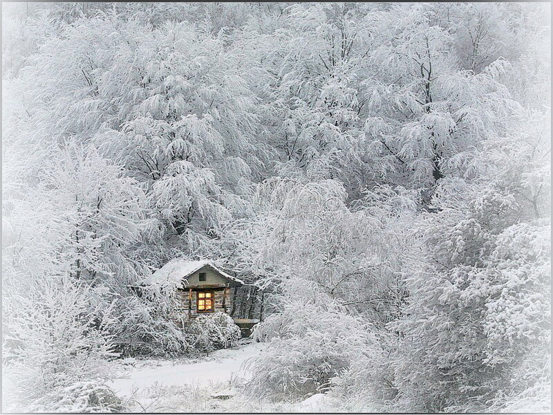 Cabin in Snowy Forest — White, Serene, Winter