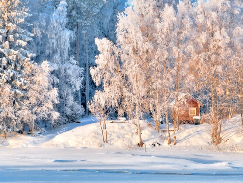 Cabin in Snowy Forest — White