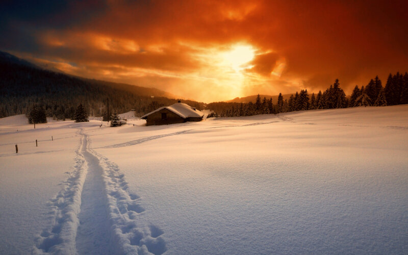 Cabin in Snowy Landscape — Orange