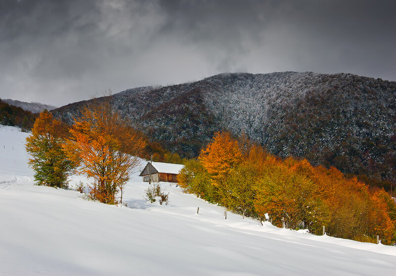 Cabin in Snowy Landscape — White, Dramatic